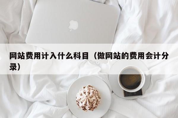 网站费用计入什么科目（做网站的费用会计分录）